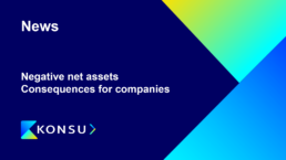Negative net assets. consequences for companies konsu legal and financial consulting russia and cis